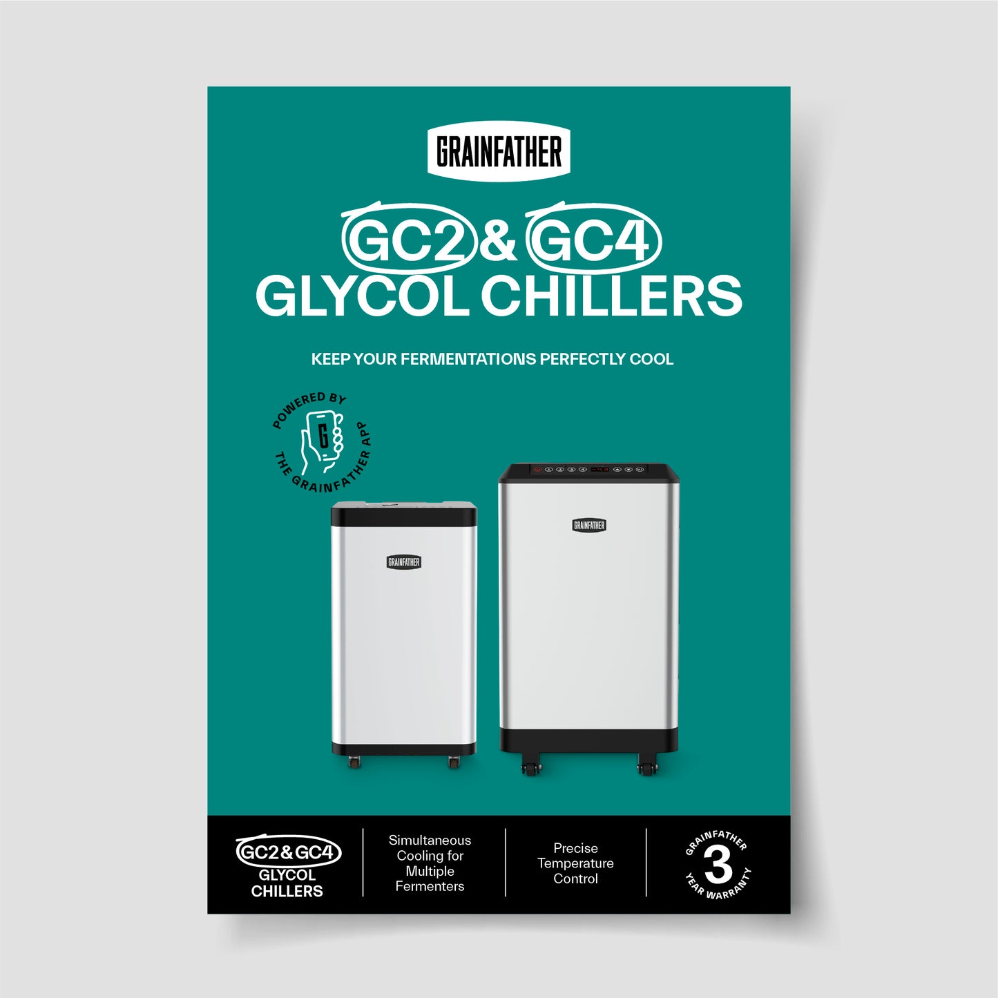 GF A5 Flyer Visuals V2_GC2   CG4.jpg